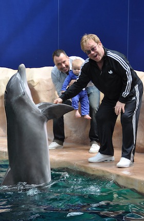 Elton John, David Furnish, son, Zachary, pictures, picture, photos, photo, pics, pic, images, image, hot, sexy, latest, new, 2011