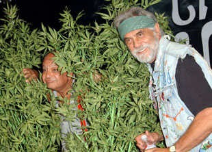 Cheech and Chong picture