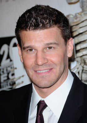 David Boreanaz, sued, sexual, harassment, lawsuit, Kristina Hagan, pictures, picture, photos, photo, pics, pic, images, image, hot, sexy, latest, new, 2010