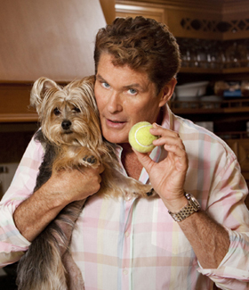 David Hasselhoff, The Hasselhoffs, canceled, pictures, picture, photos, photo, pics, pic, images, image, hot, sexy, latest, new, 2010